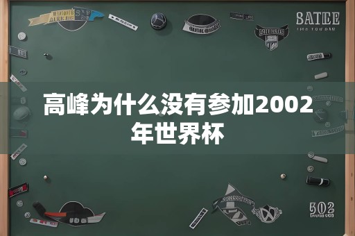 高峰为什么没有参加2002年世界杯