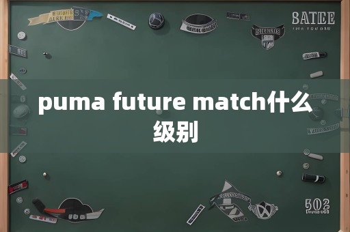 puma future match什么级别