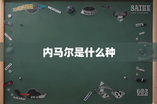 内马尔是什么种