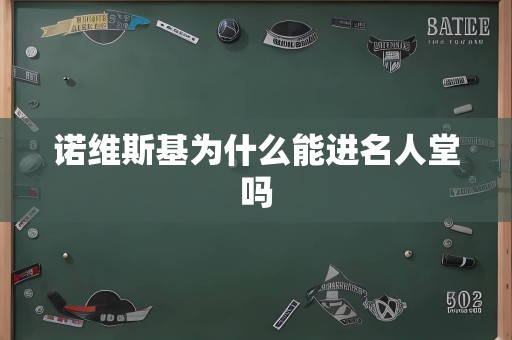 诺维斯基为什么能进名人堂吗