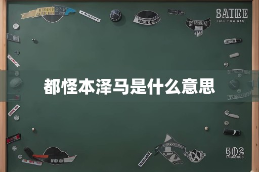 都怪本泽马是什么意思