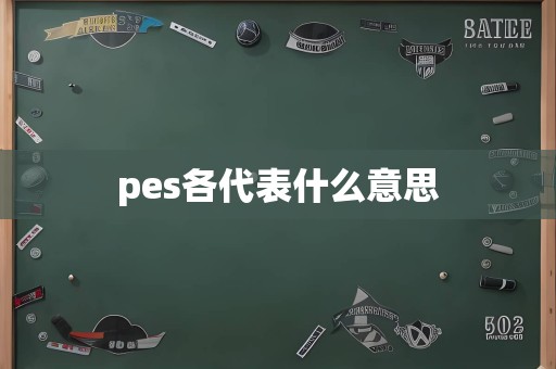 pes各代表什么意思