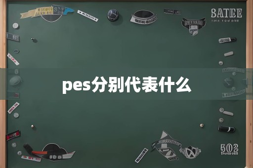 pes分别代表什么