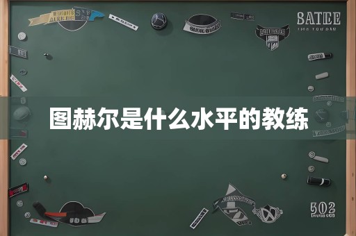 图赫尔是什么水平的教练