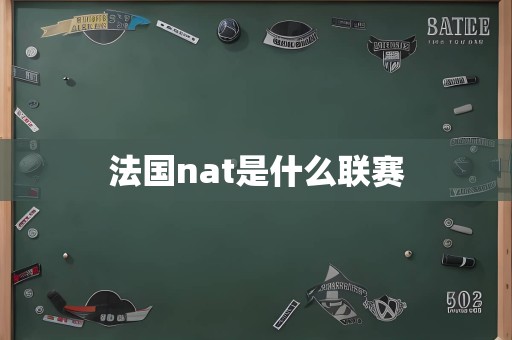 法国nat是什么联赛