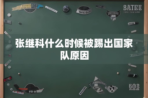 张继科什么时候被踢出国家队原因