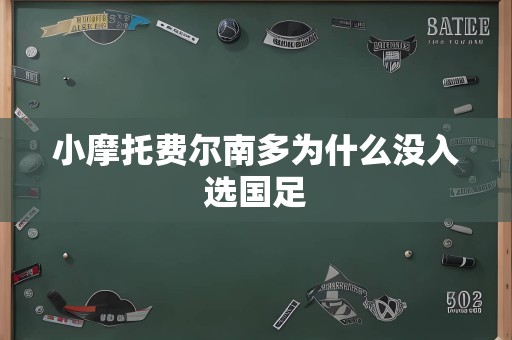小摩托费尔南多为什么没入选国足