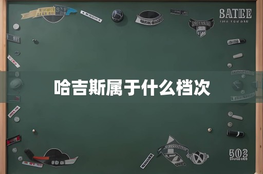 哈吉斯属于什么档次