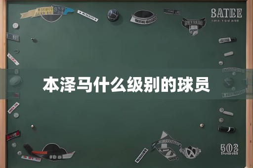 本泽马什么级别的球员