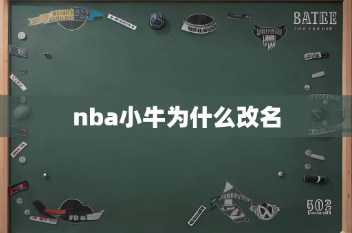 nba小牛为什么改名