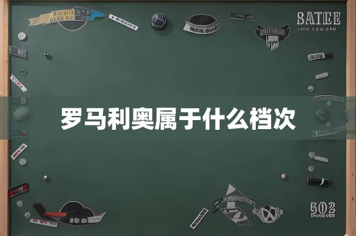 罗马利奥属于什么档次