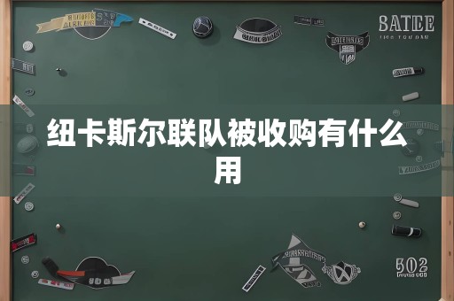 纽卡斯尔联队被收购有什么用