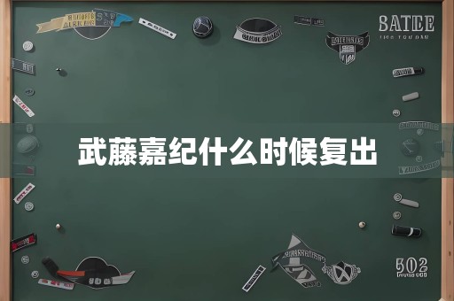 武藤嘉纪什么时候复出