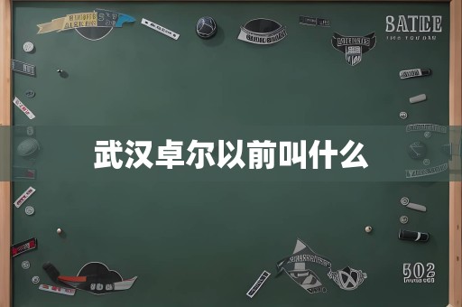 武汉卓尔以前叫什么