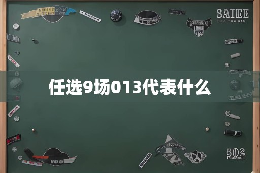 任选9场013代表什么