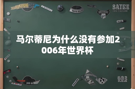 马尔蒂尼为什么没有参加2006年世界杯