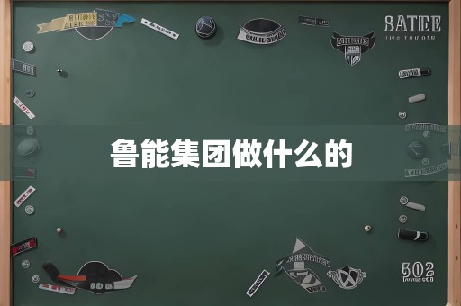 鲁能集团做什么的