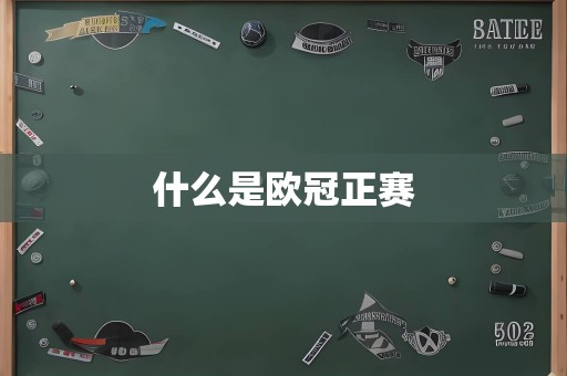 什么是欧冠正赛