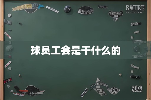 球员工会是干什么的