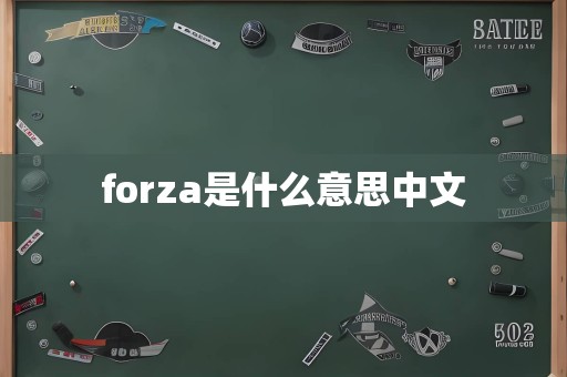 forza是什么意思中文