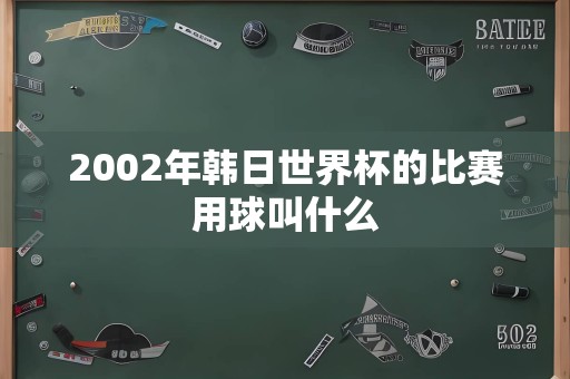 2002年韩日世界杯的比赛用球叫什么